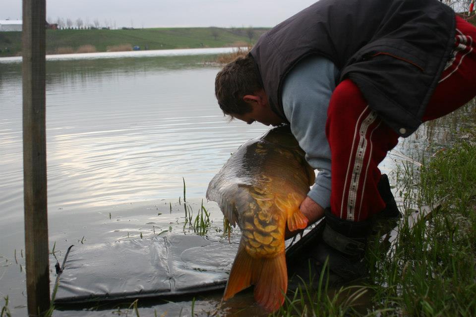 sisterea - 5407185022112231771241460585177n.jpg